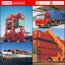 Logistics Sea Freight Agent, Container Shipping, Forwarder Agent From China